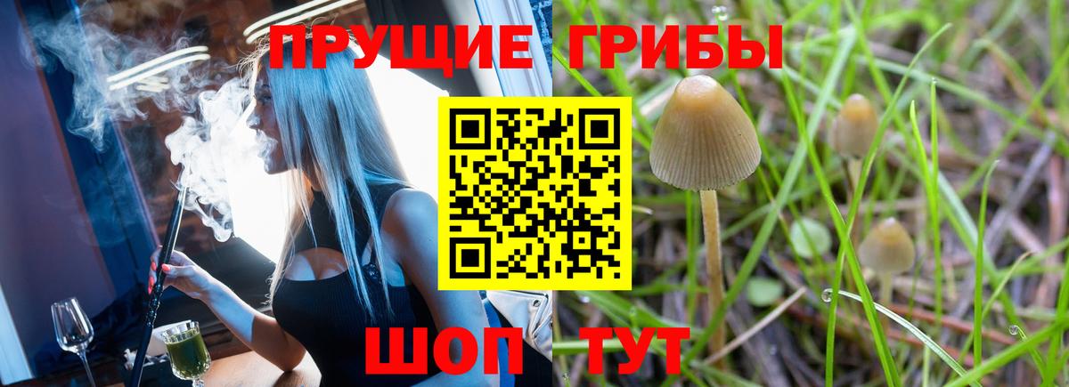 Псилоцибиновые грибы GOLDEN TEACHER Когалым
